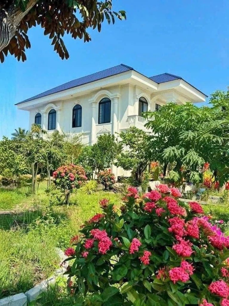 Bất động sản tại Bến Tre - ảnh 1