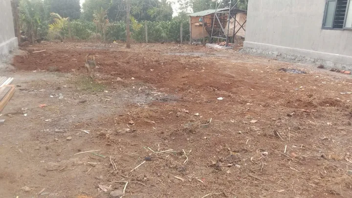 Bất động sản tại Đắk Lắk - ảnh 1