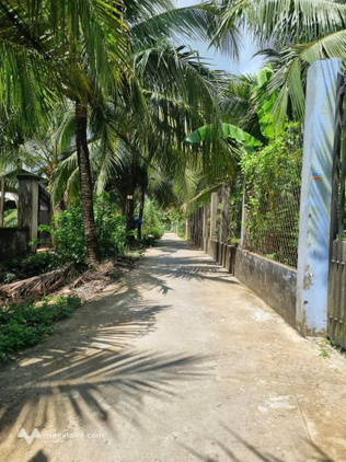 Bất động sản tại Bến Tre - ảnh 1