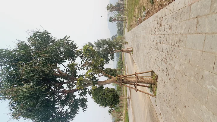 Bất động sản tại Hòa Bình - ảnh 1