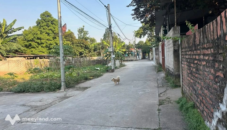 Bất động sản tại Hà Nội - ảnh 1