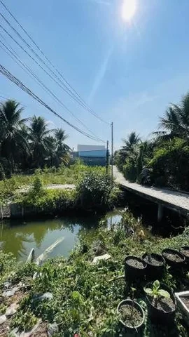 Bất động sản tại Tiền Giang - ảnh 1