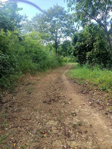 Bất động sản tại Đắk Lắk - ảnh 1