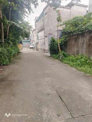 Bất động sản tại Thái Bình - ảnh 1