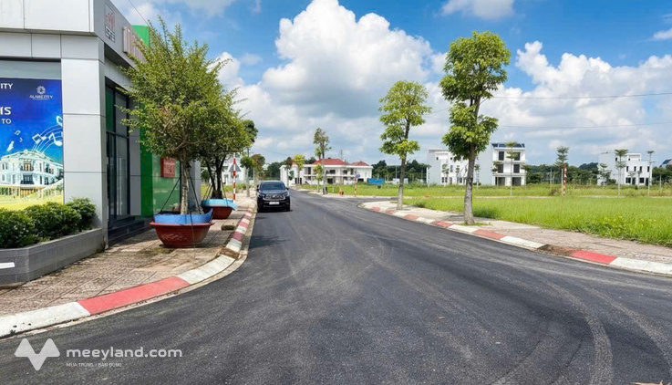 Bất động sản tại Bình Dương - ảnh 1