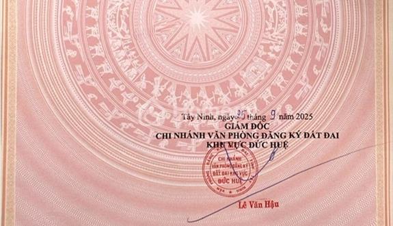 Bất động sản tại Long An - ảnh 1