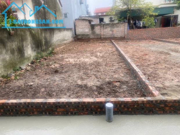 Bất động sản tại Hưng Yên - ảnh 1