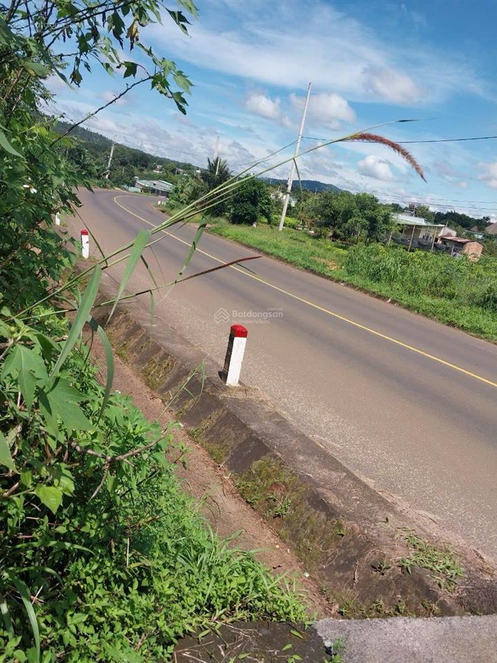 Bất động sản tại Gia Lai - ảnh 1