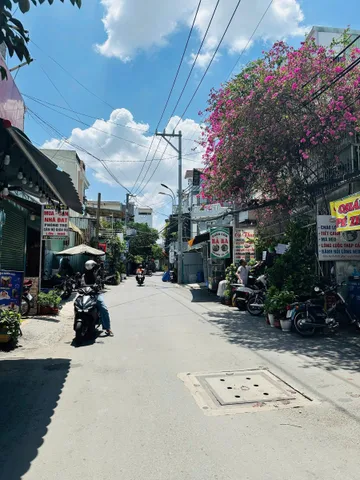 Bất động sản tại TP. Hồ Chí Minh - ảnh 1