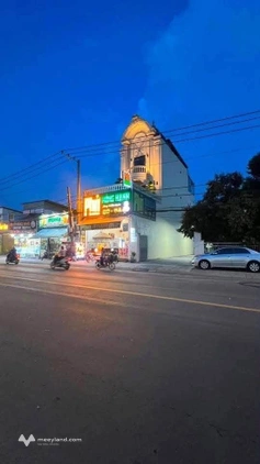 Bất động sản tại Bình Dương - ảnh 1