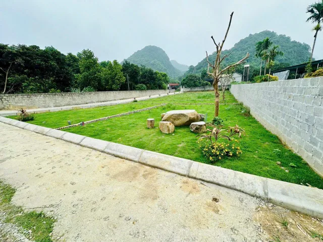 Bất động sản tại Phú Thọ - ảnh 1