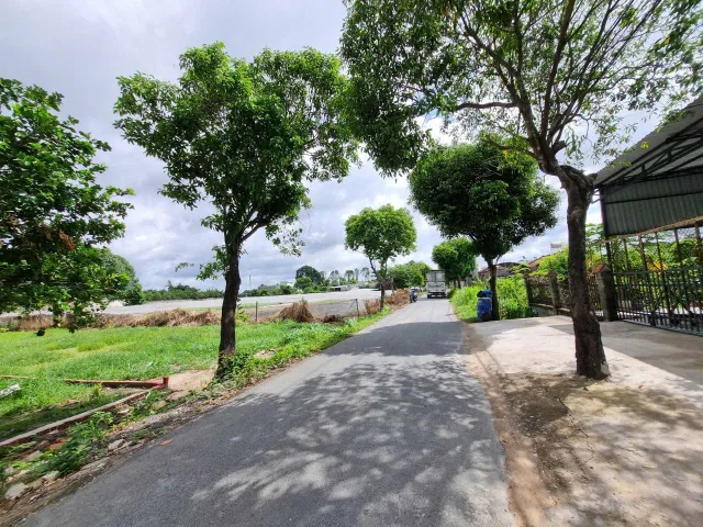 Bất động sản tại TP. Hồ Chí Minh - ảnh 1