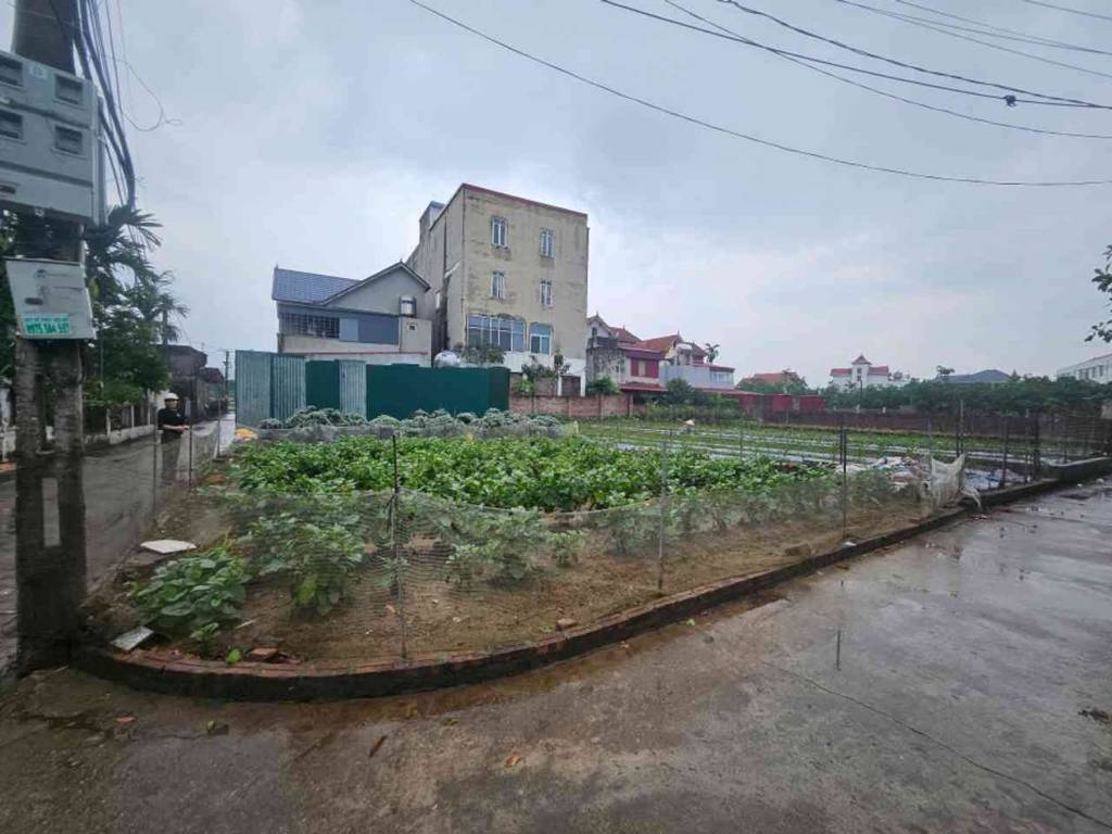 Bất động sản tại Hưng Yên - ảnh 1