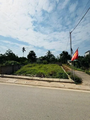 Bất động sản tại Phú Thọ - ảnh 1