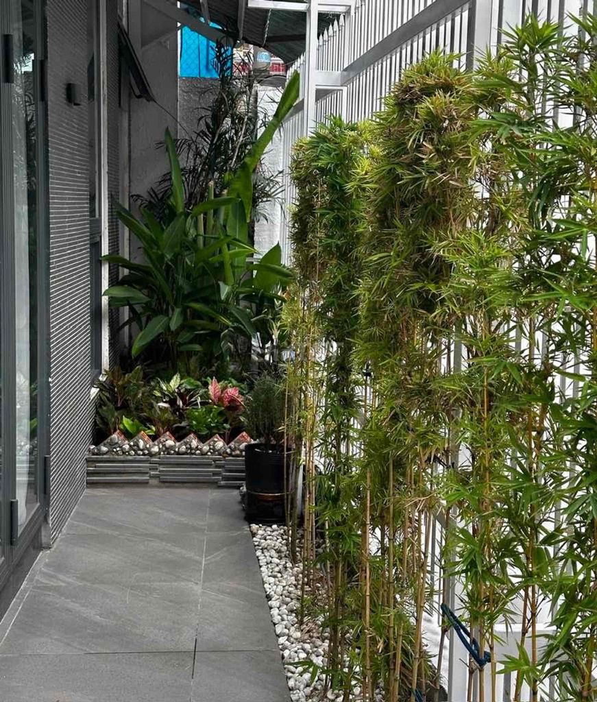 Nhà riêng tại 11, TP. Hồ Chí Minh - ảnh 3