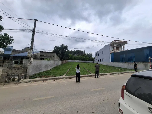 Bất động sản tại Phú Thọ - ảnh 1