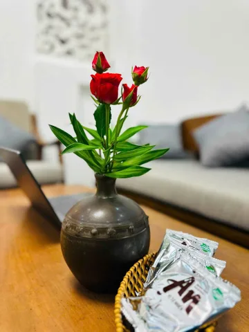 Bất động sản tại Đà Nẵng - ảnh 1