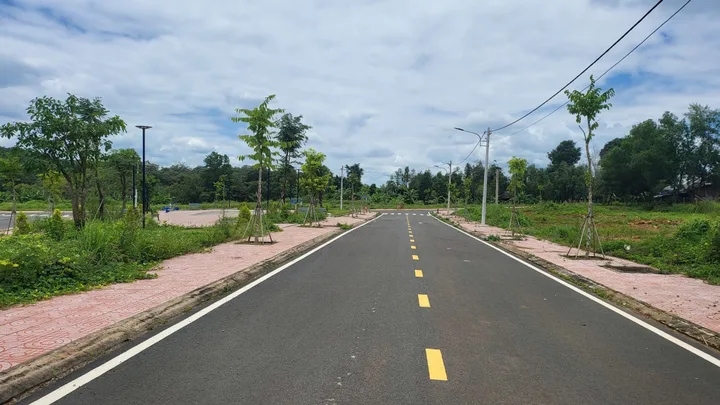 Bất động sản tại Bình Dương - ảnh 1