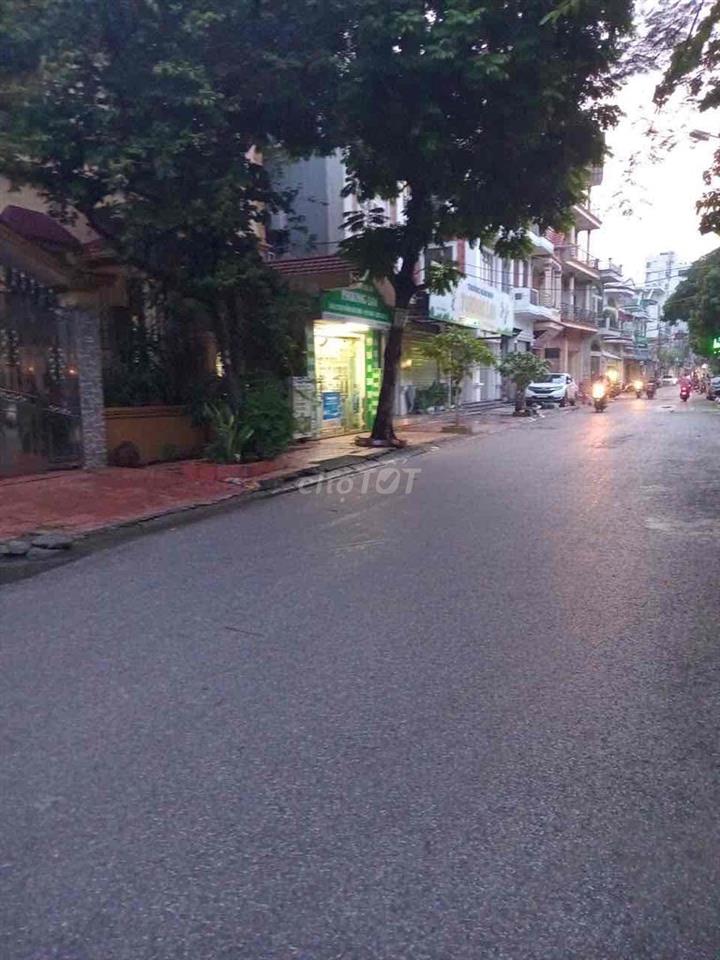 Bất động sản tại Hải Phòng - ảnh 1