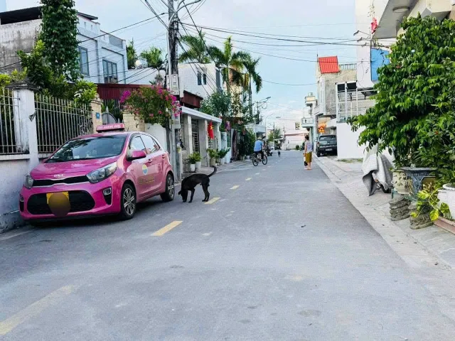 Bất động sản tại Hải Phòng - ảnh 1