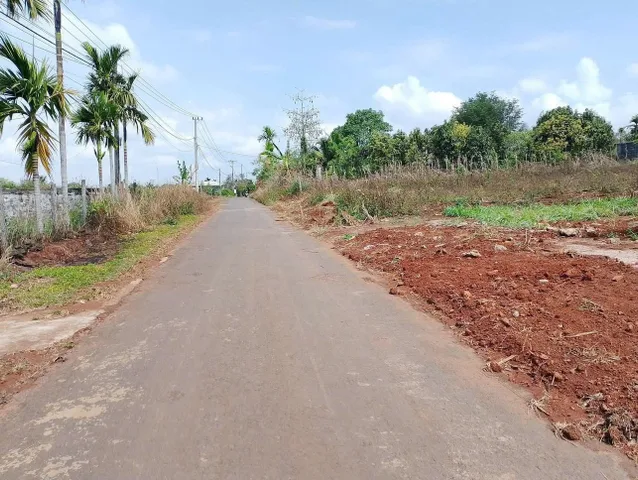 Bất động sản tại Đắk Lắk - ảnh 1