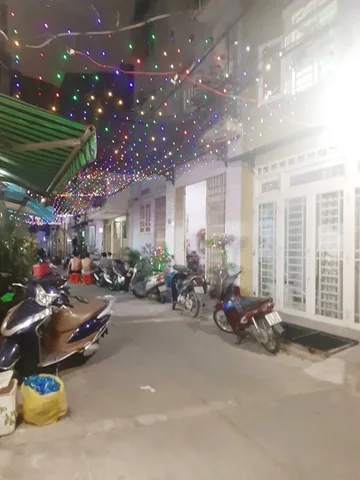 Bất động sản tại TP. Hồ Chí Minh - ảnh 1