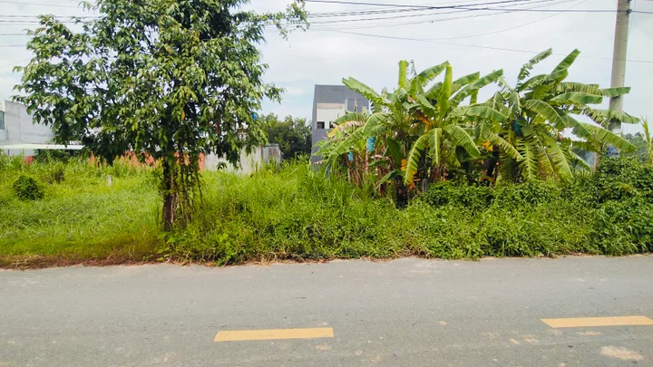 Bất động sản tại Tây Ninh - ảnh 1