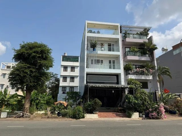 Bất động sản tại TP. Hồ Chí Minh - ảnh 1