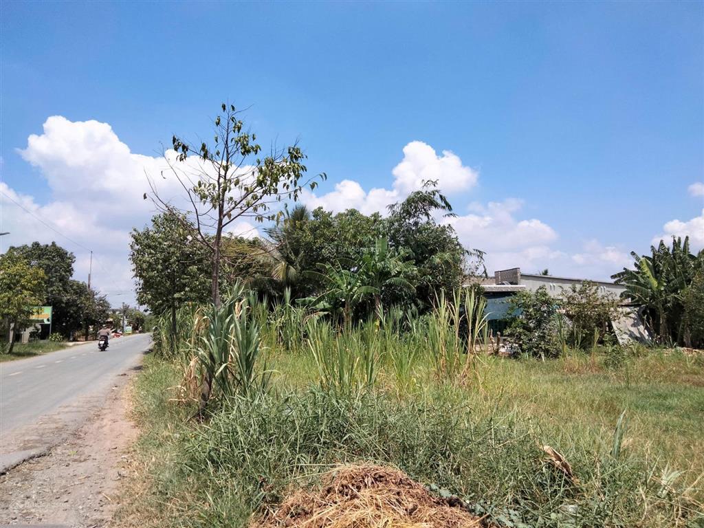 Bất động sản tại Long An - ảnh 1
