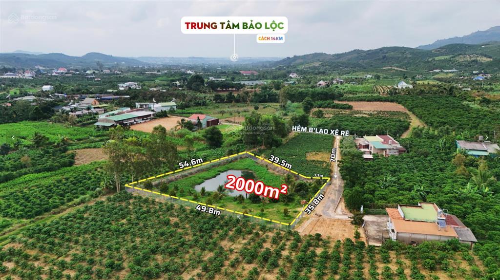 Bất động sản tại Lâm Đồng - ảnh 1