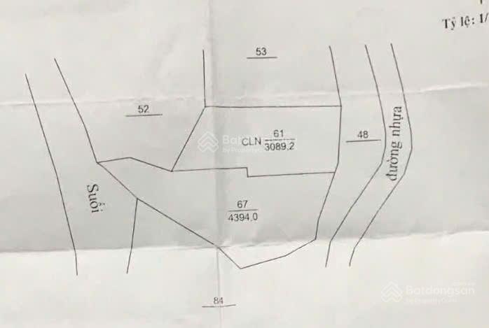 Bất động sản tại Lâm Đồng - ảnh 1