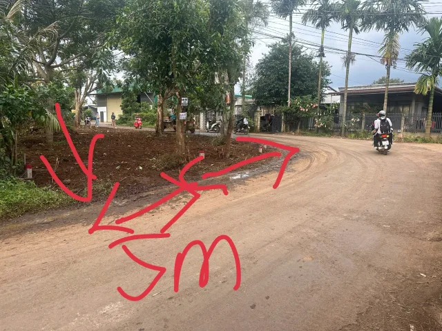 Bất động sản tại Đắk Lắk - ảnh 1