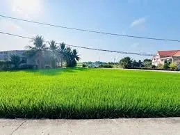 Bất động sản tại Đà Nẵng - ảnh 1