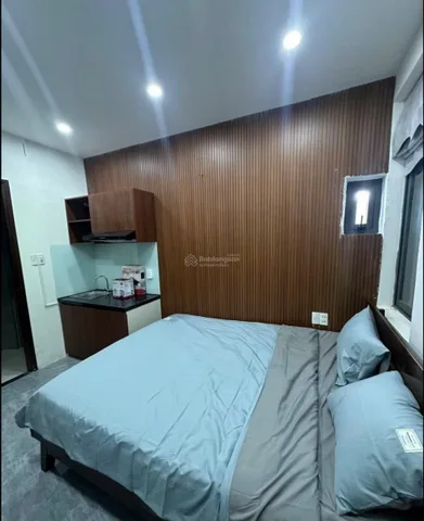 Bất động sản tại Đà Nẵng - ảnh 1