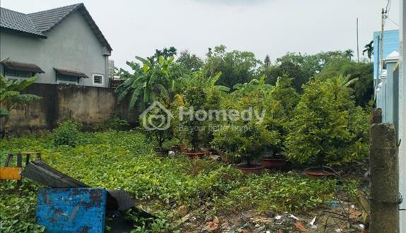 Bất động sản tại Bình Dương - ảnh 1