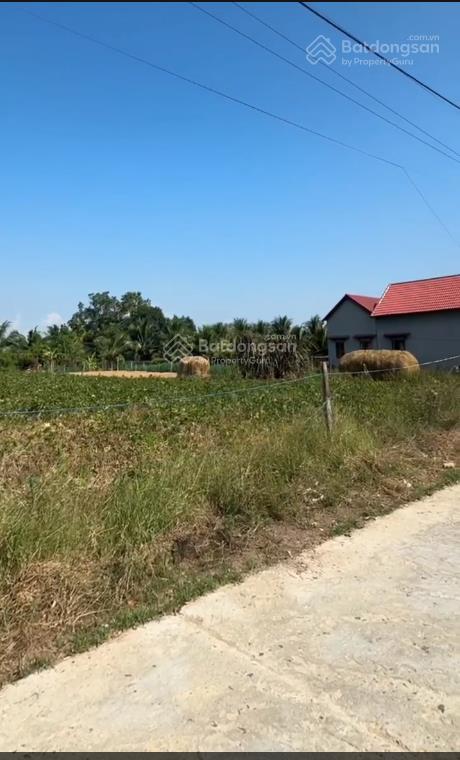Bất động sản tại Khánh Hòa - ảnh 1