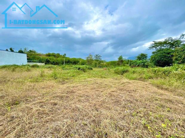 Bất động sản tại Khánh Hòa - ảnh 1