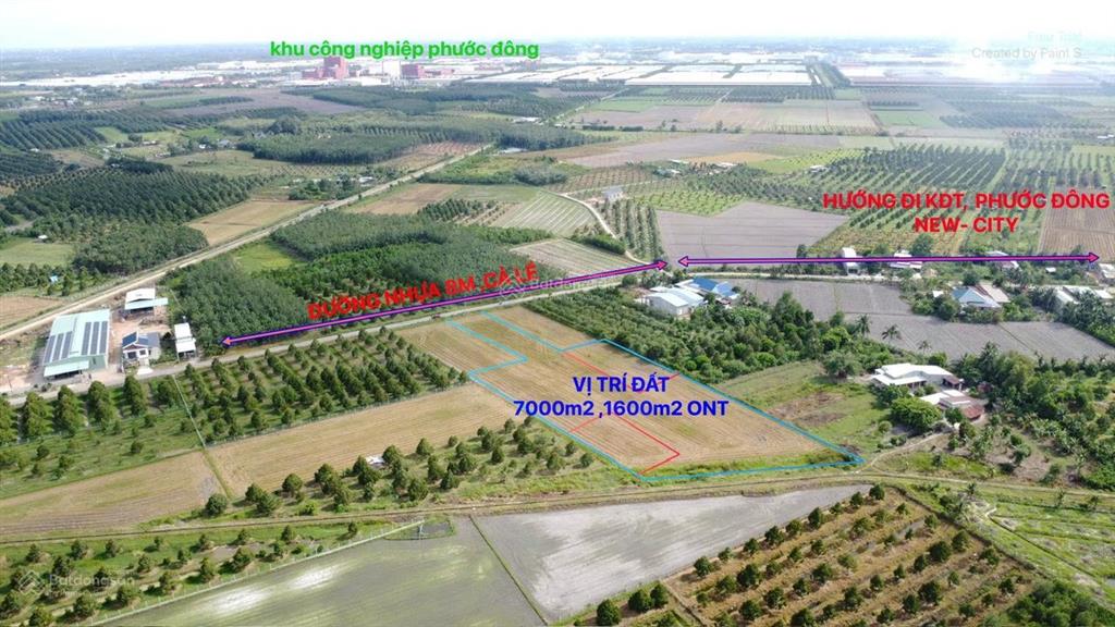Bất động sản tại Tây Ninh - ảnh 1