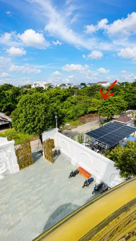 Bất động sản tại Cần Thơ - ảnh 1