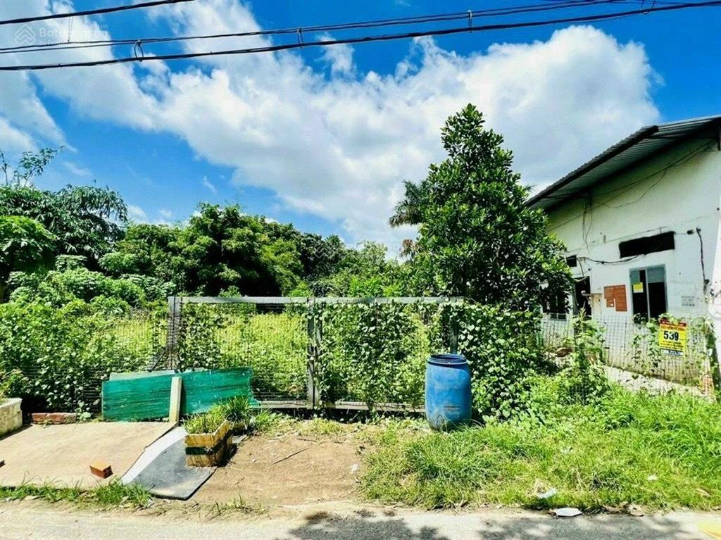 Bất động sản tại Tây Ninh - ảnh 1