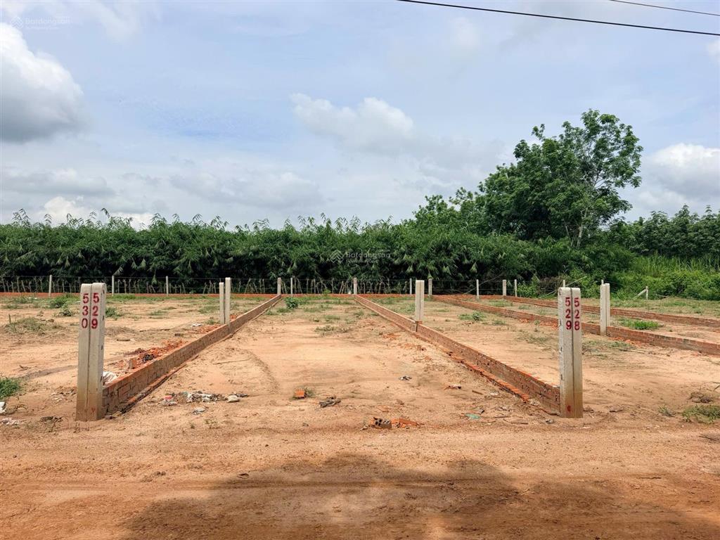 Bất động sản tại Tây Ninh - ảnh 1