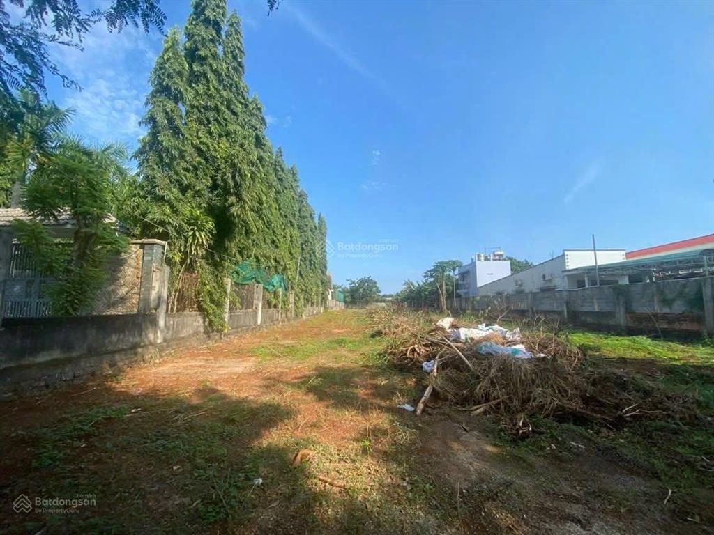Bất động sản tại Bà Rịa - Vũng Tàu - ảnh 1
