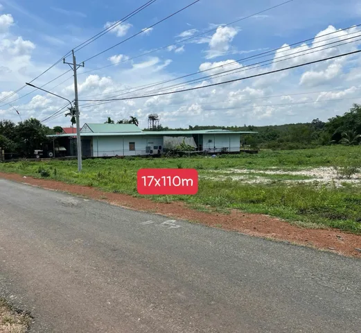 Bất động sản tại Bình Dương - ảnh 1