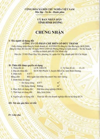 Bất động sản tại Bình Dương - ảnh 1