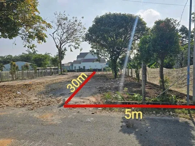 Bất động sản tại Bình Dương - ảnh 1
