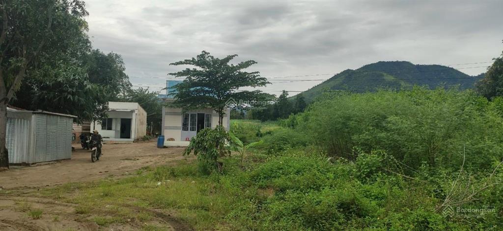 Bất động sản tại Khánh Hòa - ảnh 1