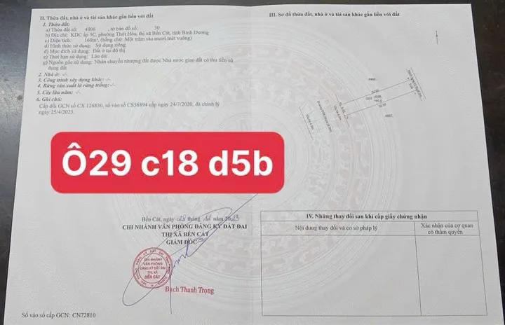 Bất động sản tại Bình Dương - ảnh 1
