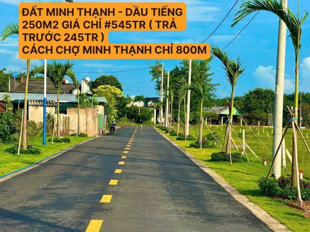Bất động sản tại Bình Dương - ảnh 1