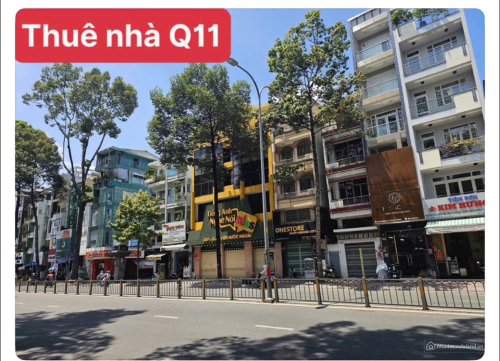 Bất động sản tại TP. Hồ Chí Minh - ảnh 1
