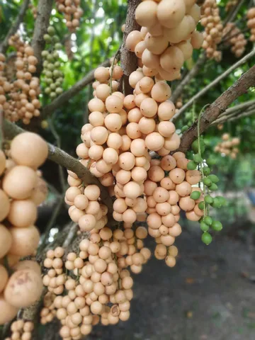 Bất động sản tại Đồng Nai - ảnh 1